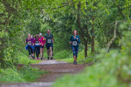 The Cat Lane Canter Run 2025