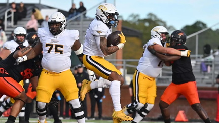 Towson Tigers Football