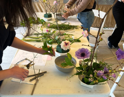 Saturday Workshops