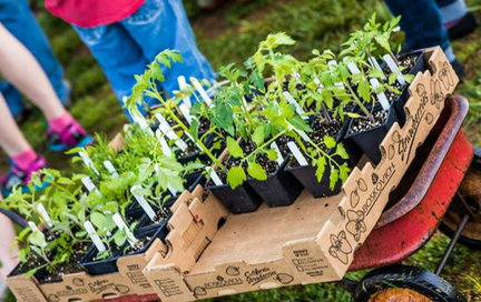 25th Annual Spring Plant Sale &amp; Festival