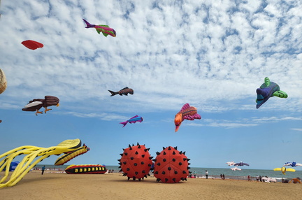 Atlantic Coast Kite Festival