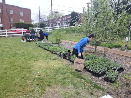 Annual H.U.G. Plant and Seed Giveaway + Plant Swap