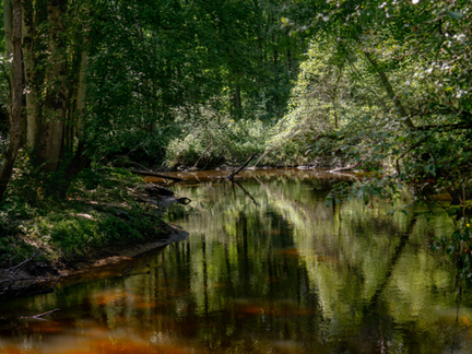 At Water's Edge: Reflections on 200 years of the Erie Canal