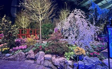 14th Annual Home and Garden Show