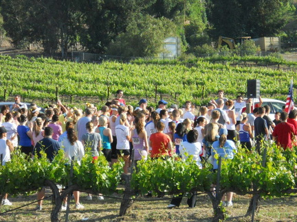 Run Through the Vineyard