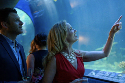Nights At The Aquarium Vancouver