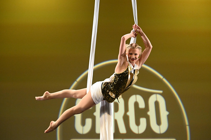 Circo Festival