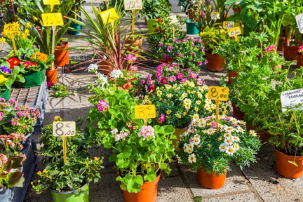 Annual Spring Plant Sale - The River Club, Riverwalk On the Elizabeth.v1