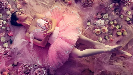 THE SLEEPING BEAUTY