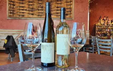 Sip and Learn Wine Tasting 101