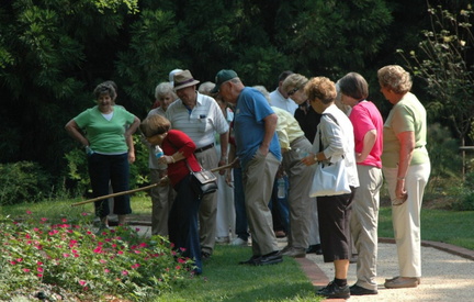 Guided Garden Tours