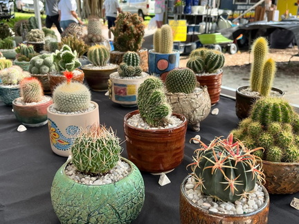 Spring Plant Sale &amp; Family Fun Weekend