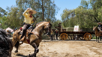 Rancho days