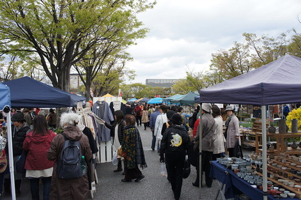 Flea Market - Umekōji Park