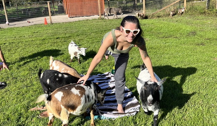 Goat Yoga