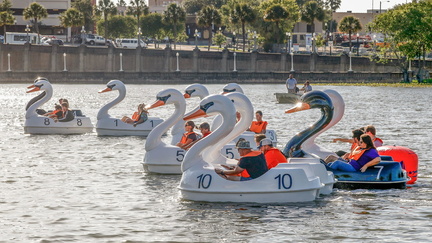 ba557959-c4c9-4710-88e0-0f4032d7fd8c-042619_pd_SWAN_4_NEWS