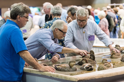 2025 Ward World Championship Wildfowl Carving Competition & Art Festival