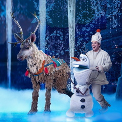Disney's Frozen The Broadway Musical
