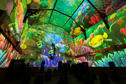 Pixel-Zoo-Ocean_DAIA-Geneva_c-Jonathan-Imhof_7