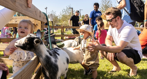 PettingZoo-large