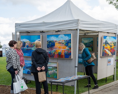 Saratoga Fine Arts
