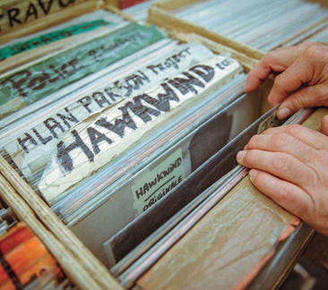 Novegro Vinile Expo