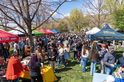The Shade City Brewfest
