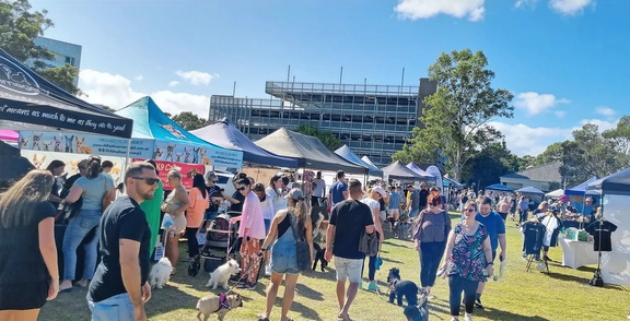 Dogs on the Green