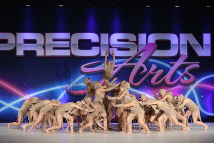 Precision Arts Challenge