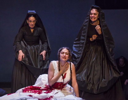 Bodas De Sangre