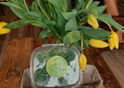 Spring Vegan Market