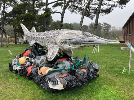 Washed Ashore