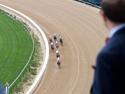 Day at the Downs