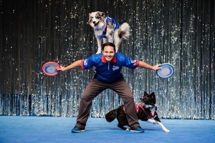 Stunt Dogs