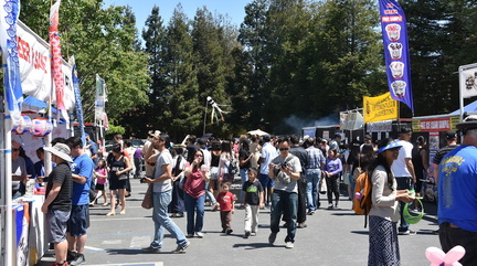 41st Cupertino Cherry Blossom Festival