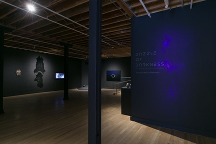 Dazzle of Darkness Spring Exhibition