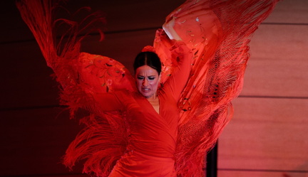 We call it Flamenco