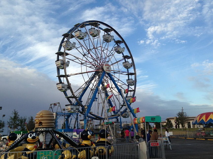 Wright’s Carnival Spring