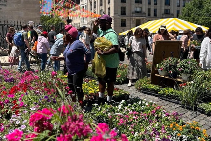 Flower Mart