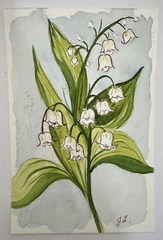 may-birth