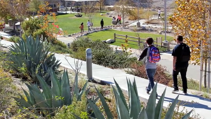 Garden Walk