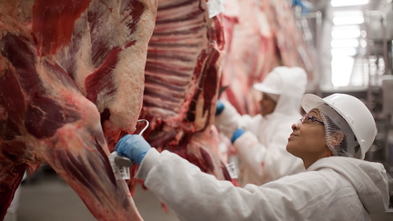 Feria de la Carne Bovina