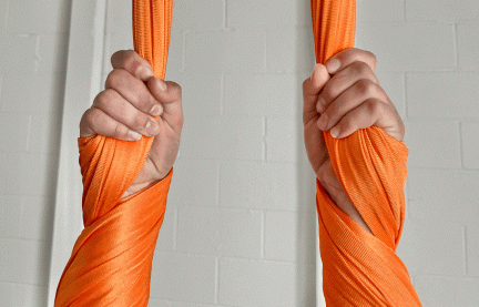 Aerial Dance PDX - Electric Flowers