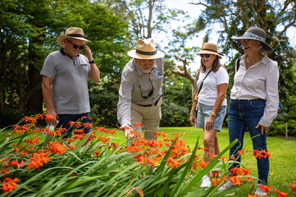 Garden Discovery Walking Tour