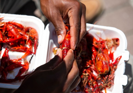 Rosewood Crawfish Festival