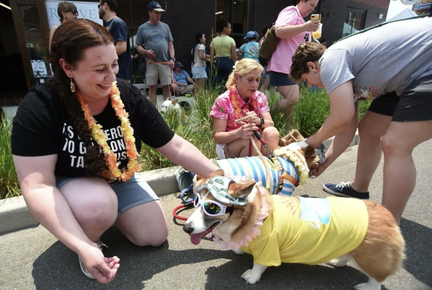 Hello, St. Elmo 2025: Neighborhood Street Festival & Corgi Parade