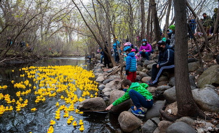5th Annual Minehaha Creek Duck Race