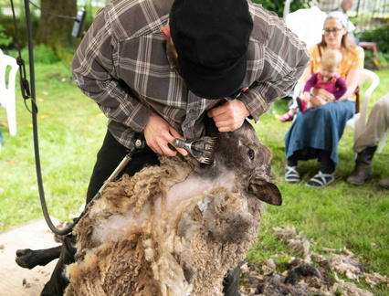 Sheep-to-Shawl-5 6 2023-27-of-27-1-1536x1166