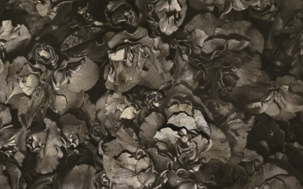 Kunié Sugiura: Photopainting