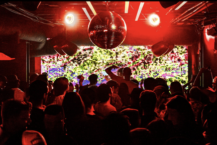 Monarch_SF